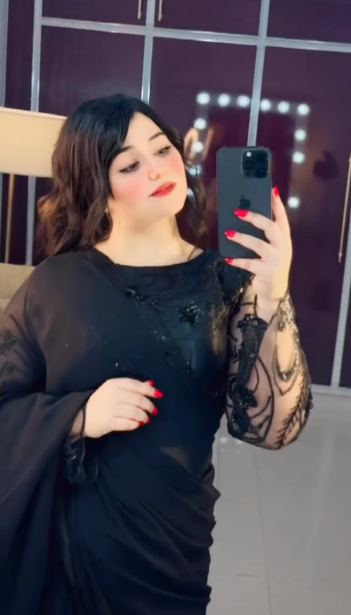 Elegant Embroided Chiffon Pallu Saree