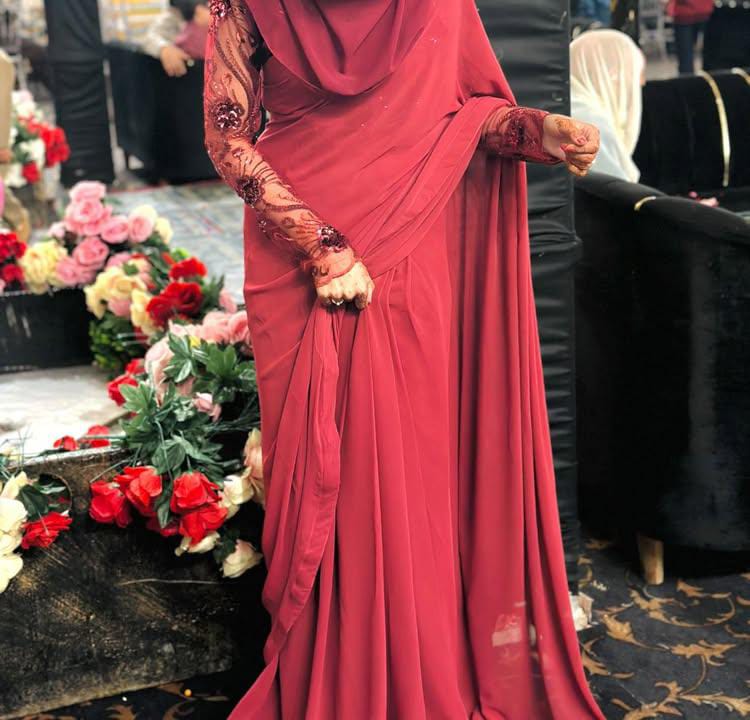 Elegant Embroided Chiffon Pallu Saree