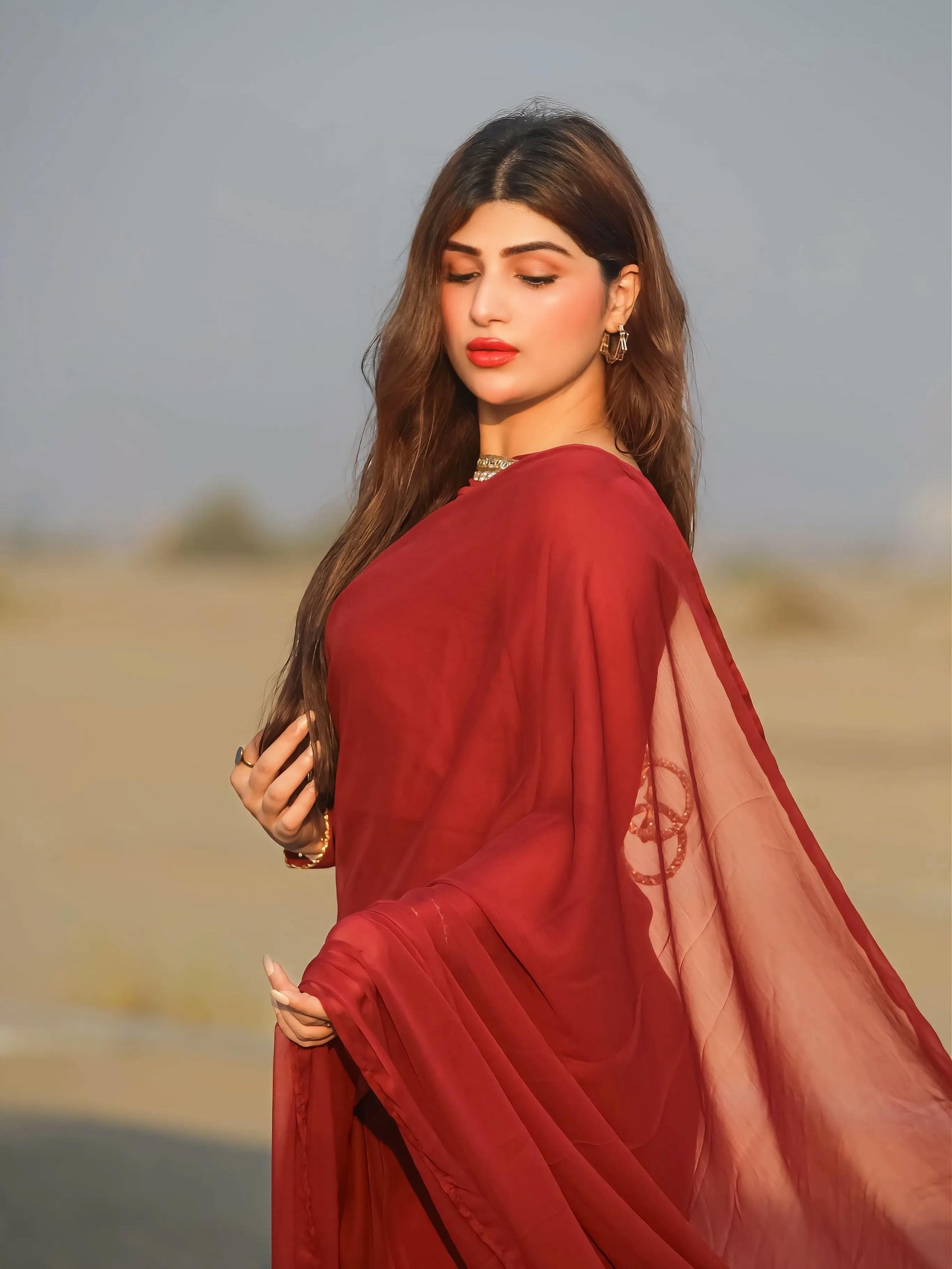 ✨ Zebaish Chiffon Saree